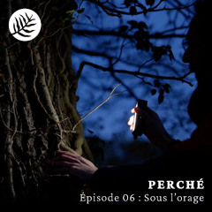 PERCHÉ - Épisode 06 : Sous l'orage