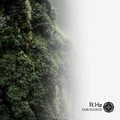 R.Hz - Roots