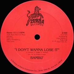 Bambu - I Dont Wanna Lose It (Delfonic Edit)