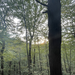 (DeseNiggaz) Don’t Know.m4a