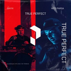 Dayvi - Nico Parga True Perfect (Orginal Mix)
