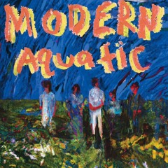 06 Country Tune (Live Demo)