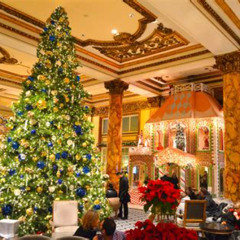 Best Holiday Things To Do In San Francisco Tours Reviews