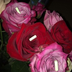 Ｉ ｎｅｅｄ ｘａｎａｘ, ｂｕｔ ｉｔ ｋｉｌｌｅｄ ｌｉｌ ｐｅｅｐ ($TATICMANE)