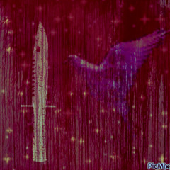 gotta get prettyr