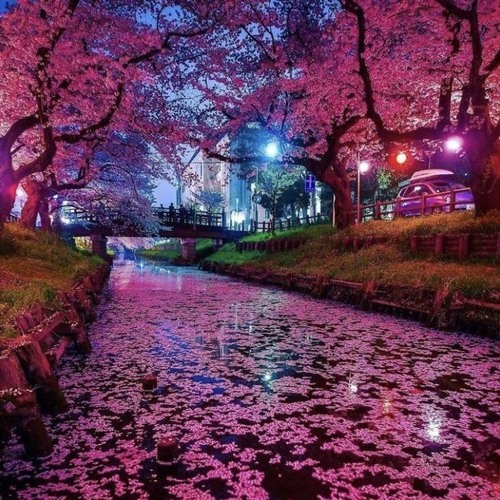 Lucky Daye - Cherry Forest [Slowed + Reverb]