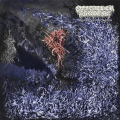 Noctemnania
