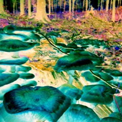 House In Da Borgå 22