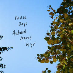 Autumn Leaves (NYC)