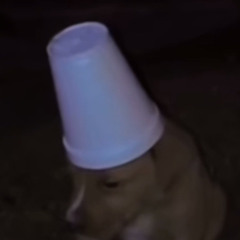 FreestyleCalloffthetop