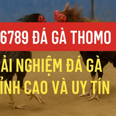Ga6789 Đá Gà Thomo - Khám Phá Đỉnh Cao Giải Trí và Uy Tín Tuyệt Đối