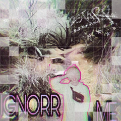 Ignorr Me (jessierosse)