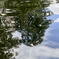 Ripples live @ Resonate, KWIA