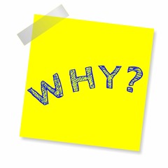 Marketing Dynamics Strategy Alerts - Finding Your Why EP13Y23