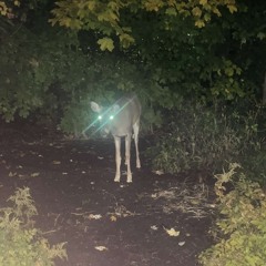 could be rapping sad shit rn