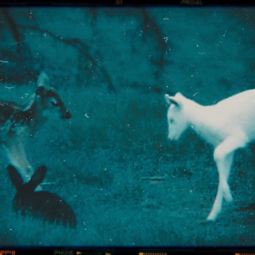 I Did It For You (P. ANPU)