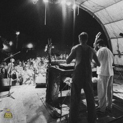 Witness Protection LIVE @ Electric Honey Music Festival - 9.20.24
