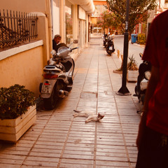 make it official (prince speech intro)