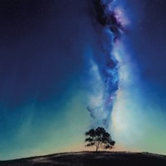 MOXATRON STBB653 Repeal Flip