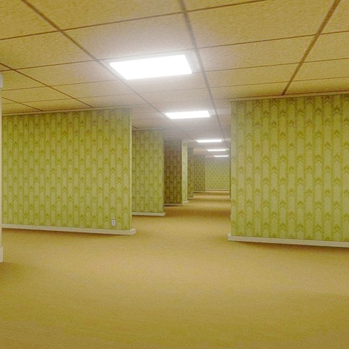 S37: Short Cuts: The Net 5/6