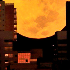 Jule Moon