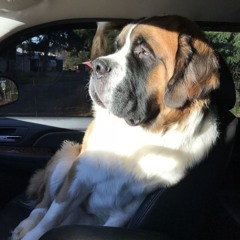 slaq voice for the k prod neckbleeding