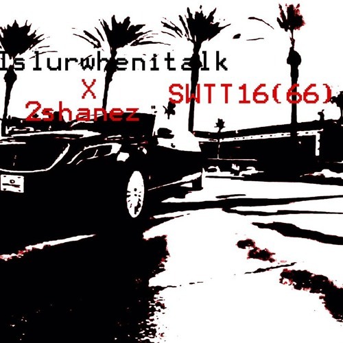 SWTT16(66) W/2SHANEZ PR0D. SH0PLI7T