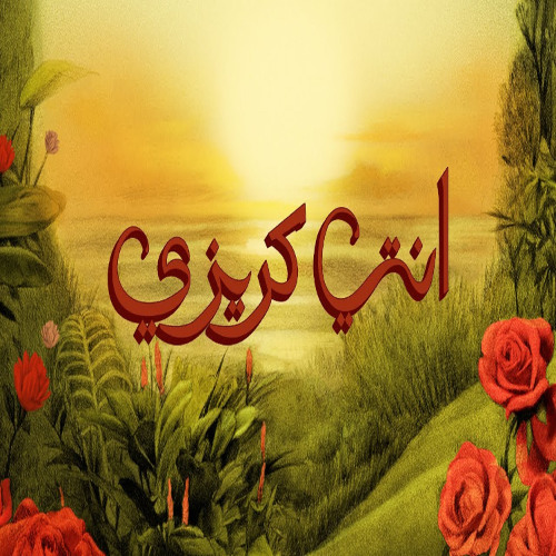 TUL8TE - Enty Crazy I تووليت - إنتي كريزي
