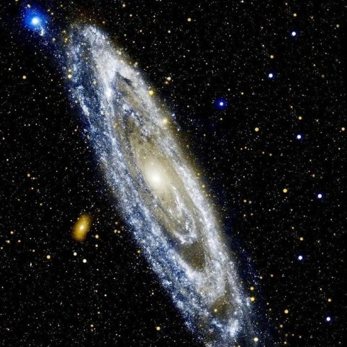 TSSP 15.5 : Lambda Virginis