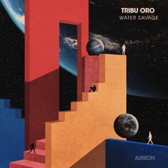 Tribu Oro - Phuky (Original Mix)[AUR011]