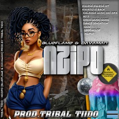Tribal Tiido - Nzipo ft Blueflame & Davaman