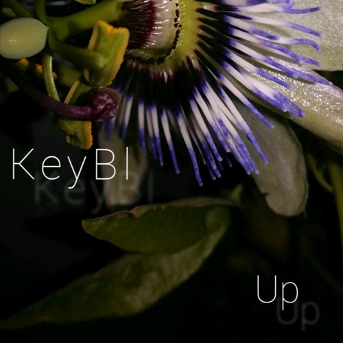 KeyBl - Up