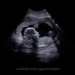 somebody's womb