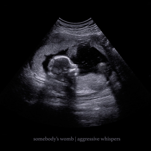 somebody's womb