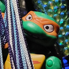 Spirit Of The Turtles