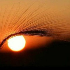 Bird_Gin_Y_A