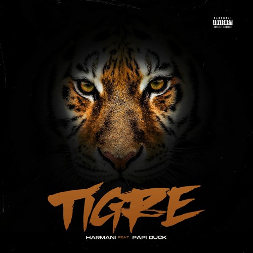 Stream Tigre ft. Papi Duck (Prod. by Nicowentcrazy) by Harmani | Listen  online for free on SoundCloud