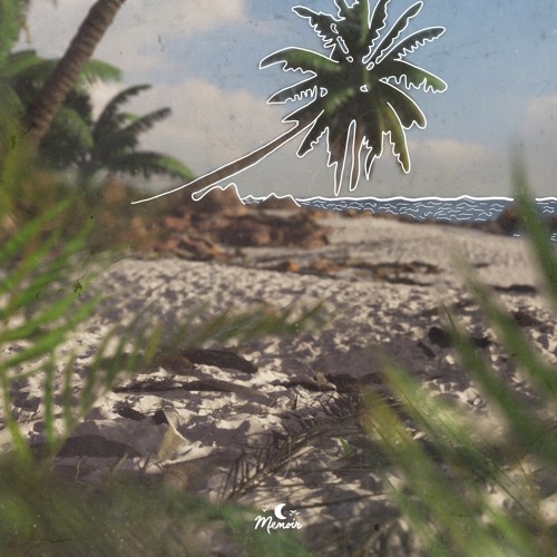 Peter Bark - Umbrella Pine