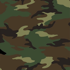 army