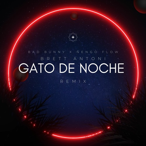 Stream Bad Bunny Gato De Noche(Brett Antoni Remix) by Brett Antoni