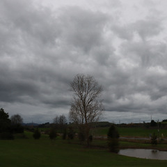Overcast