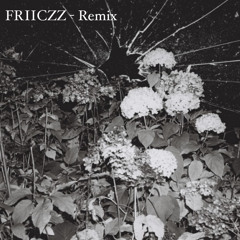 FRIICZZ - Kontrollverlust [rmx]