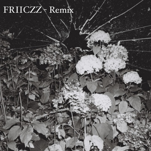FRIICZZ - Kontrollverlust [rmx]