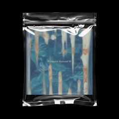 Panegyric Podcast VII