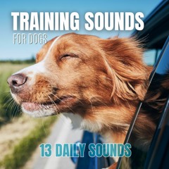 Train Noise Sound for Dogs