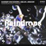 Sander Van Doorn - Raindrops (Eshark Remix)