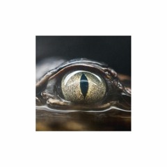 Joji - Glimpse of Us ( Cover Version en Español )