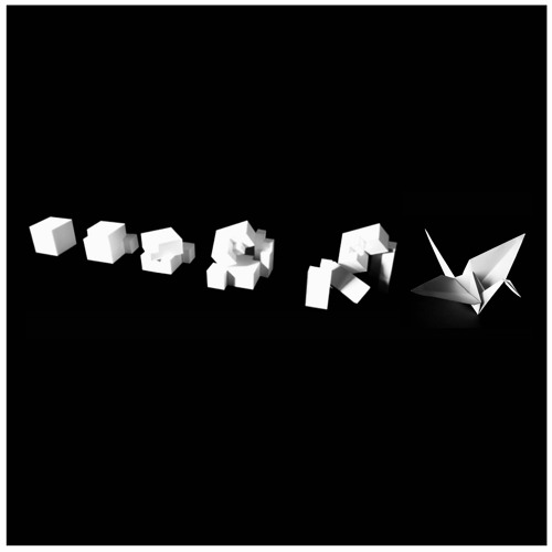 Morphometry