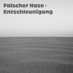 Falscher Hase - Entschleunigung (September 2014)