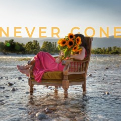 Never Gone